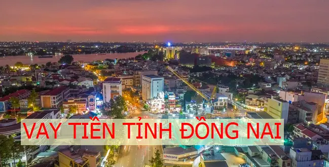 1-vay-tien-dong-nai-hinh-dai-dien