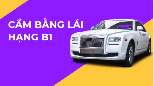 4-cam-bang-lai-xe-b1-la-gi