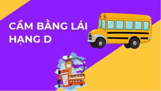 4-cam-bang-lai-xe-hang-d-la-gi