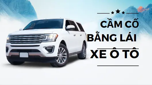 4-cam-bang-lai-xe-o-to-la-gi