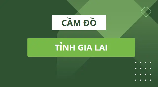 3-cam-do-tinh-gia-lai-la-gi 3-cam-do-tinh-gia-lai-la-gi